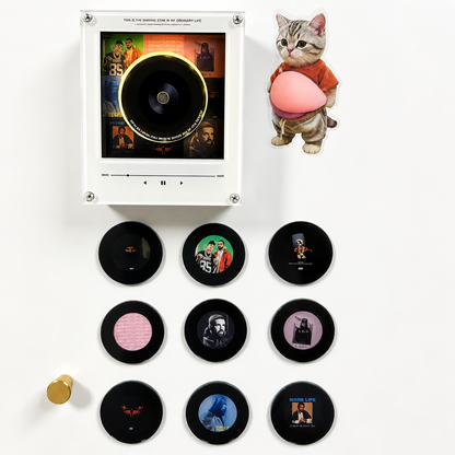 Oliese Aura Player — Manyetik Plaklı Müzik Kutusu